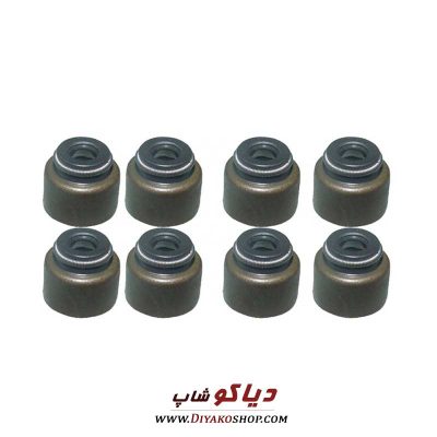 لاستیک ساق سوپاپ تیگو 5