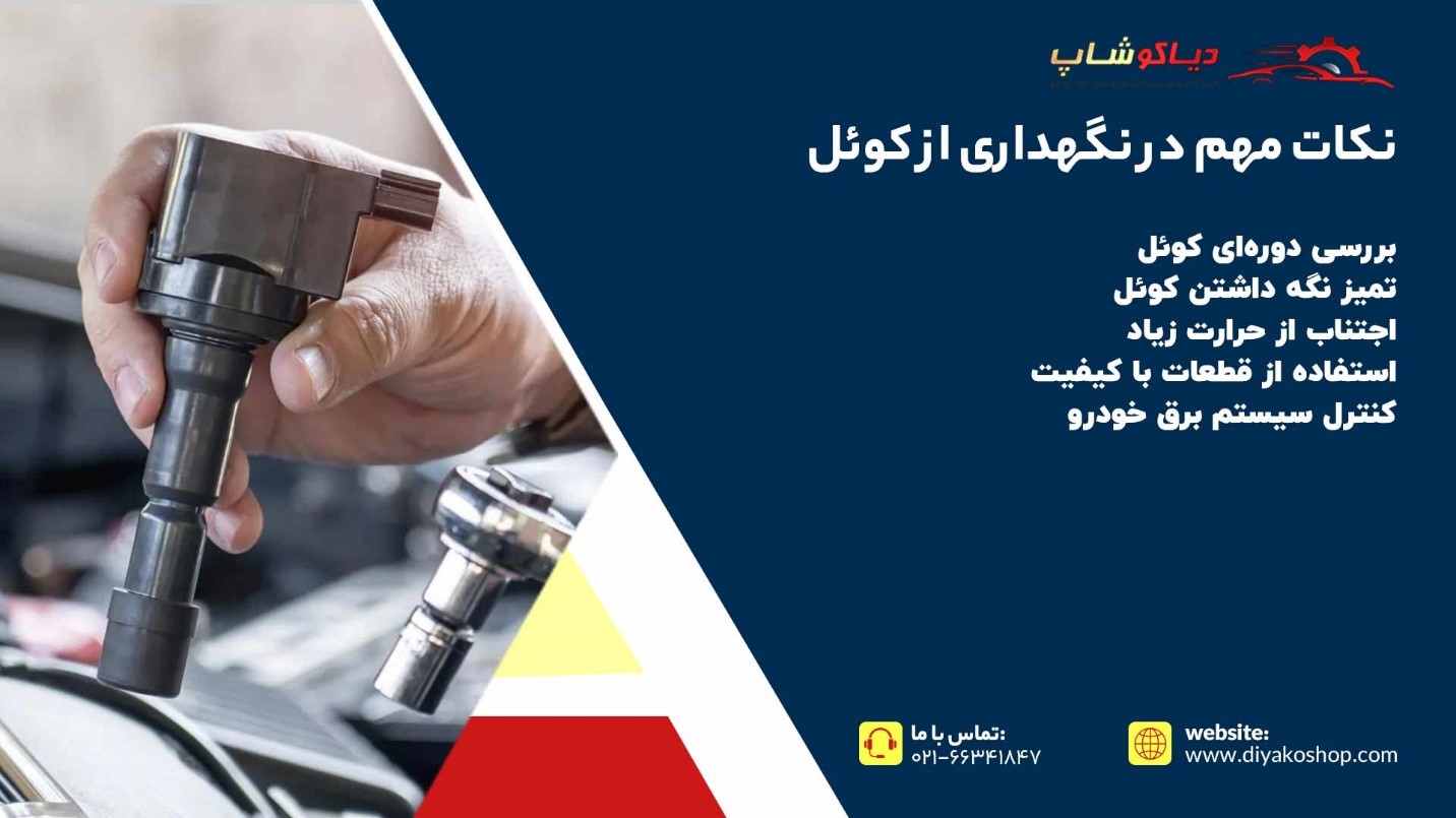 نکات مهم در نگهداری از کوئل