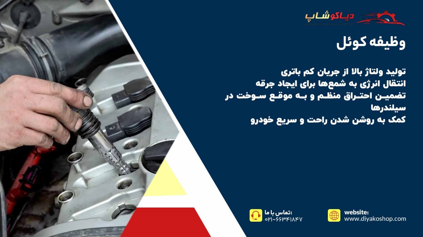 وظیفه کوئل